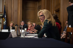 Steering Committee meeting with women CEOs